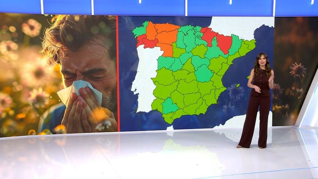 El invierno lluvioso dispara las previsiones para los alérgicos: zonas de España más afectadas y recomendaciones para evitar los síntomas
