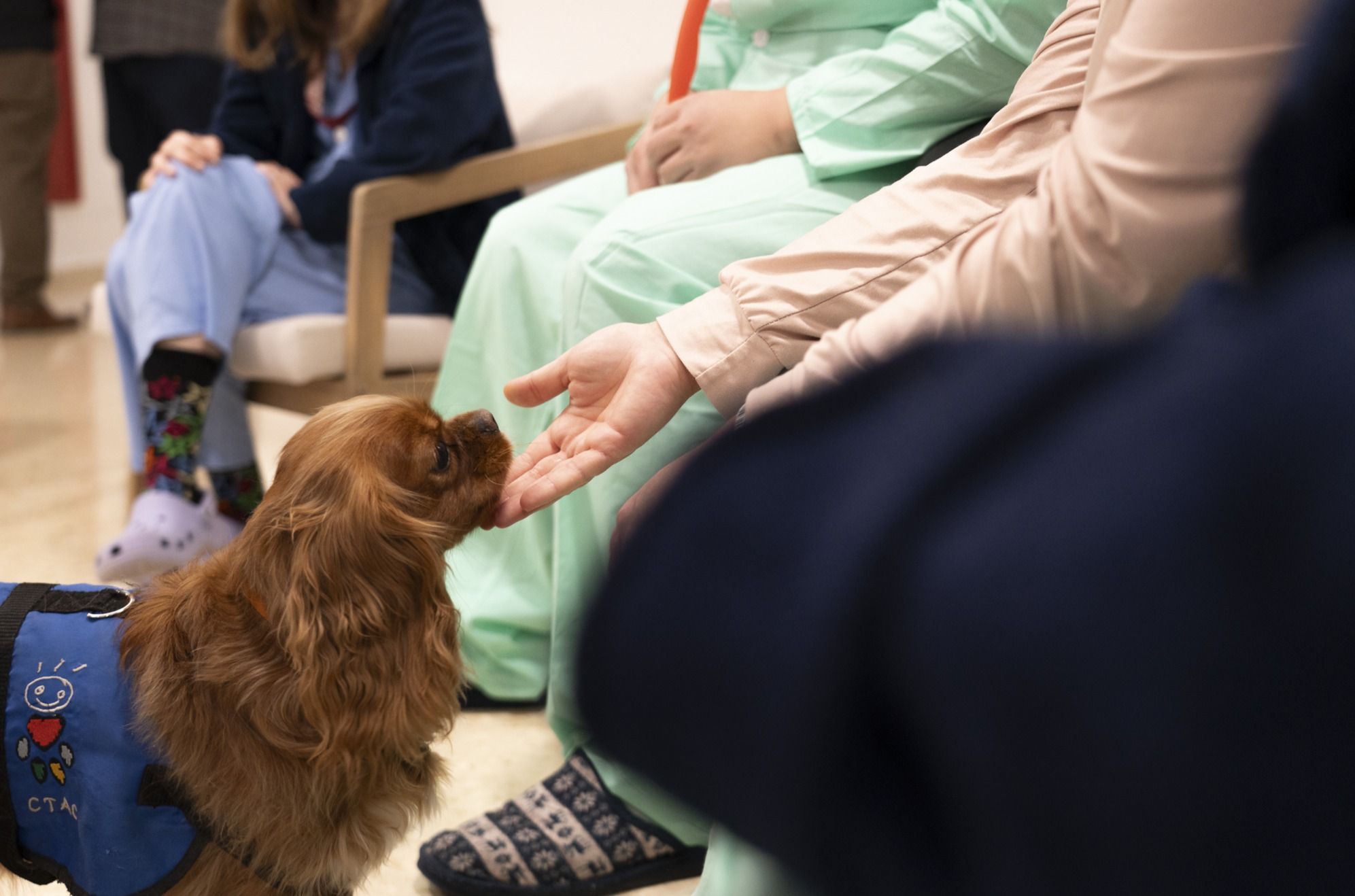 Los dos perros adiestrados intervienen en sesiones individuales y grupales