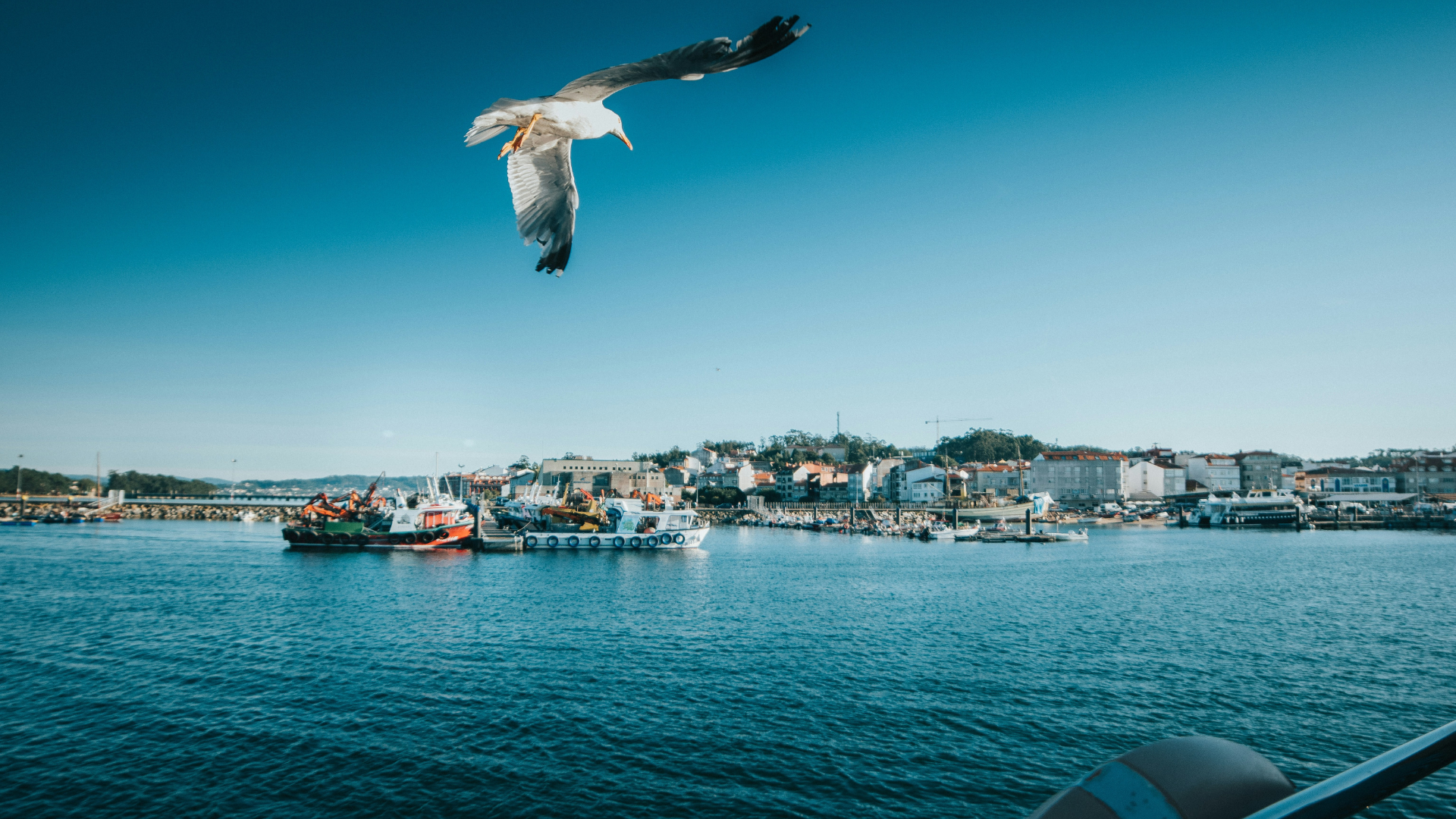 Puerto pesquero gallego