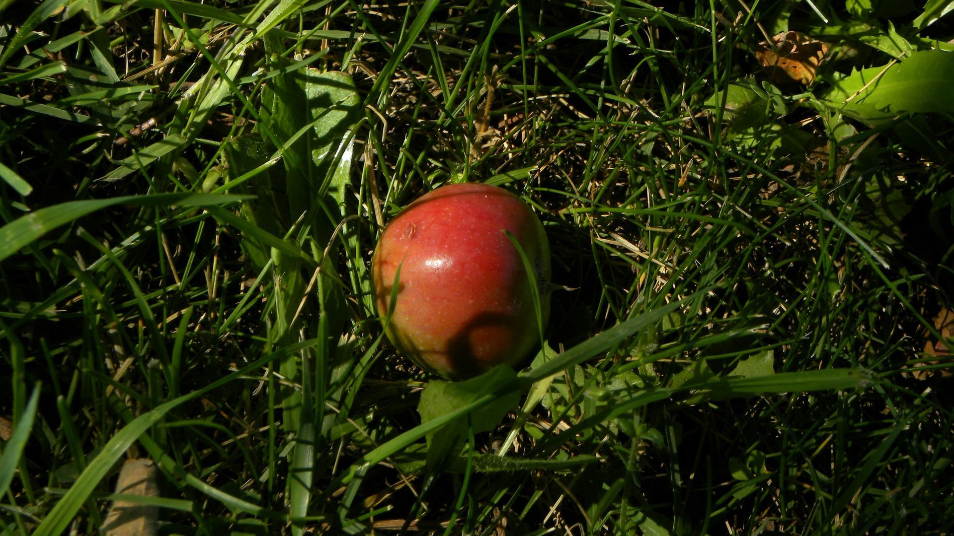 La regla de los 5 segundos