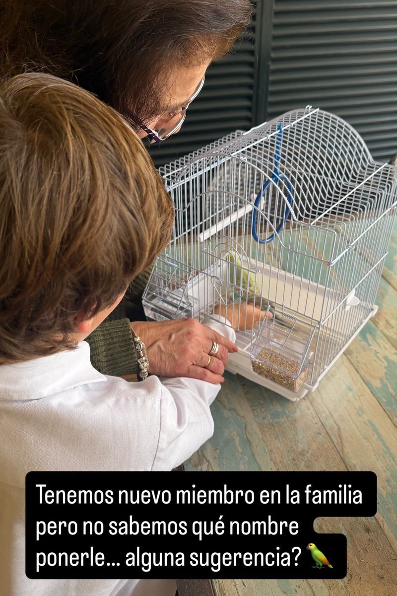 Eva González presenta al nuevo miembro de su familia