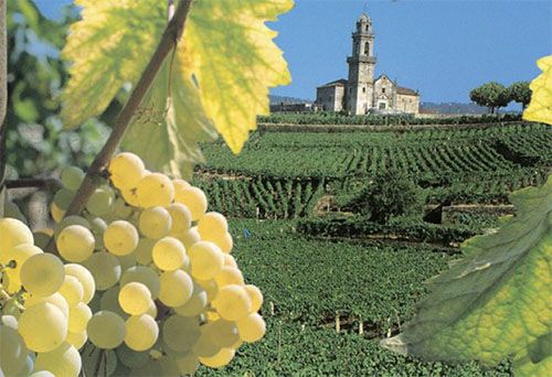 Ruta del Ribeiro-Rías Baixas