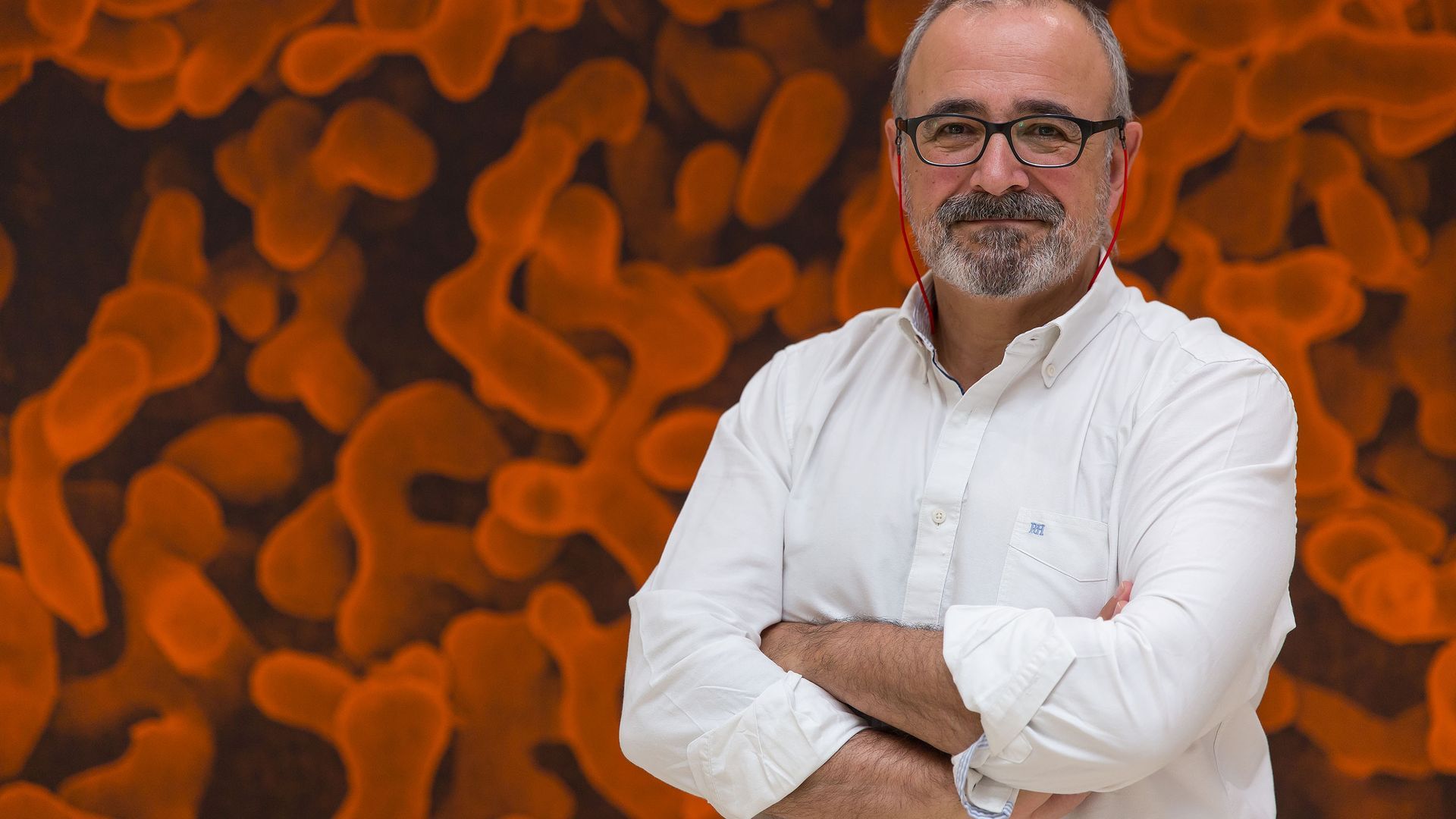 Ignacio López-Goñi ha elaborado un documento muy interesante con el grupo de Docencia y Difusión de la Microbiología de la SEM
