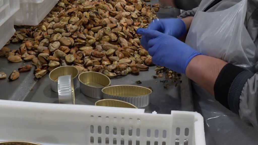 El ‘No a la Guerra’ deja una gran inquietud en muchos sectores que mantienen lazos comerciales con Estados Unidos