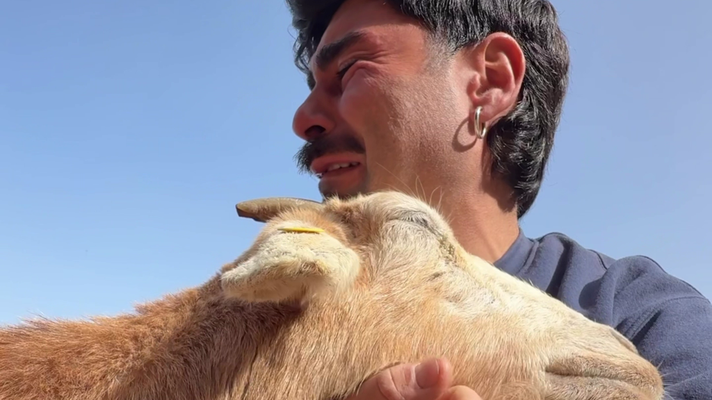 Muere la cabra de Hugo Pérez: su desgarrador vídeo de despedida