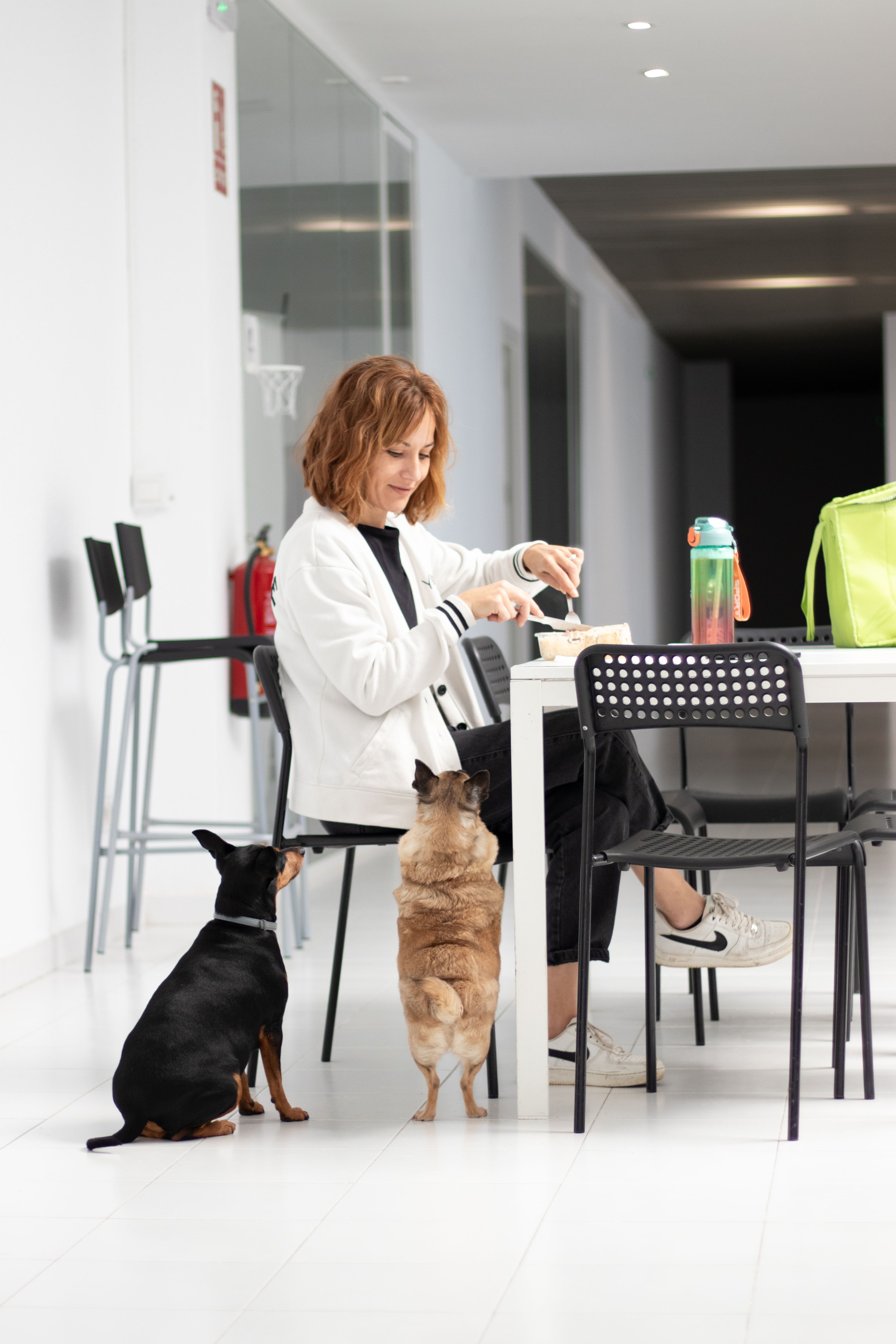Una empleada come rodeada de sus perros