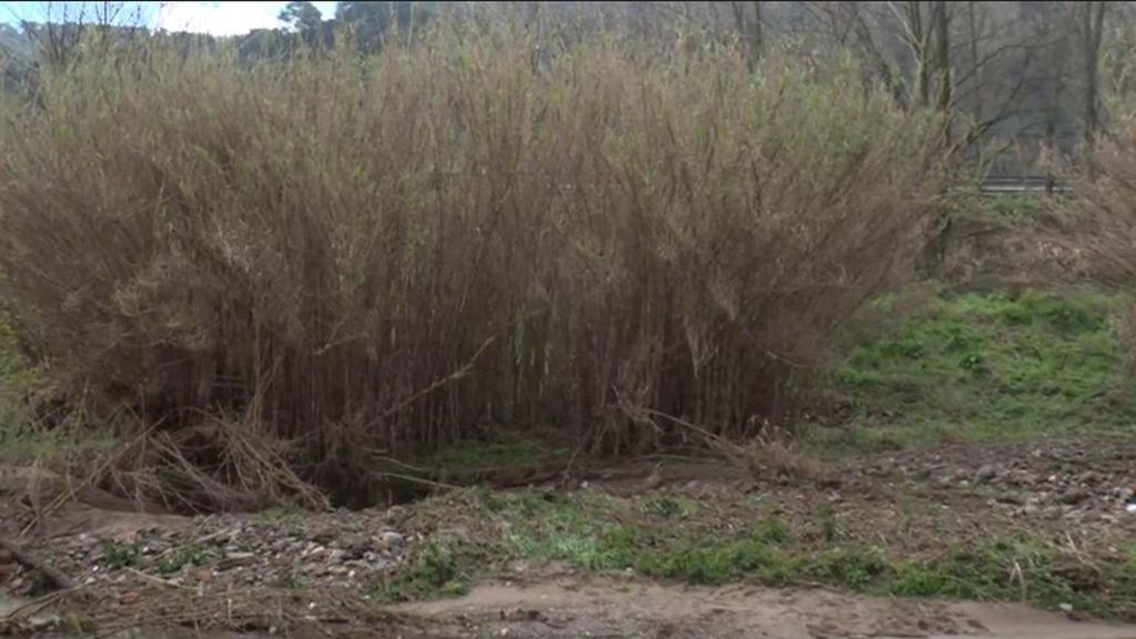 Encuentran un cadáver en la zona donde buscaban al conductor desaparecido en Llinars, Barcelona