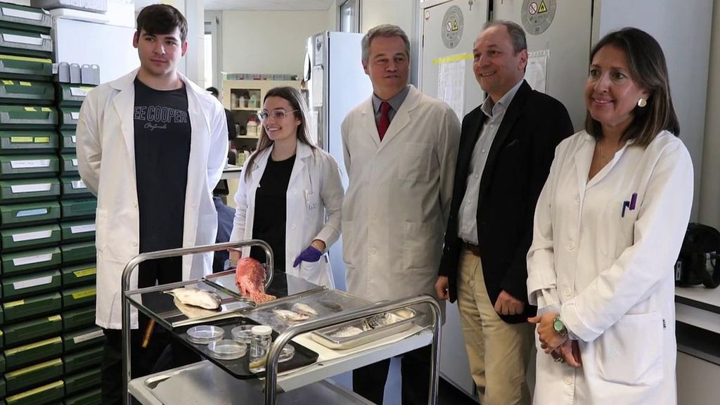 Diseñan un nuevo biotejido con escamas de peces como solución para regenerar la córnea humana Informativos Telecinco 2026 Es noticia 237