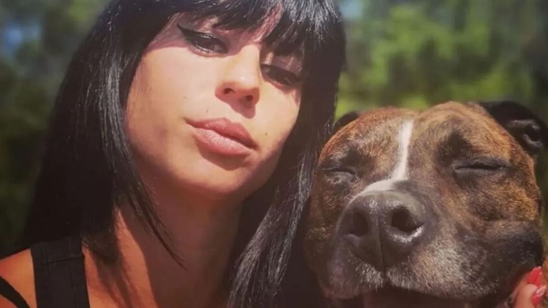 Piden salvar a Curtis