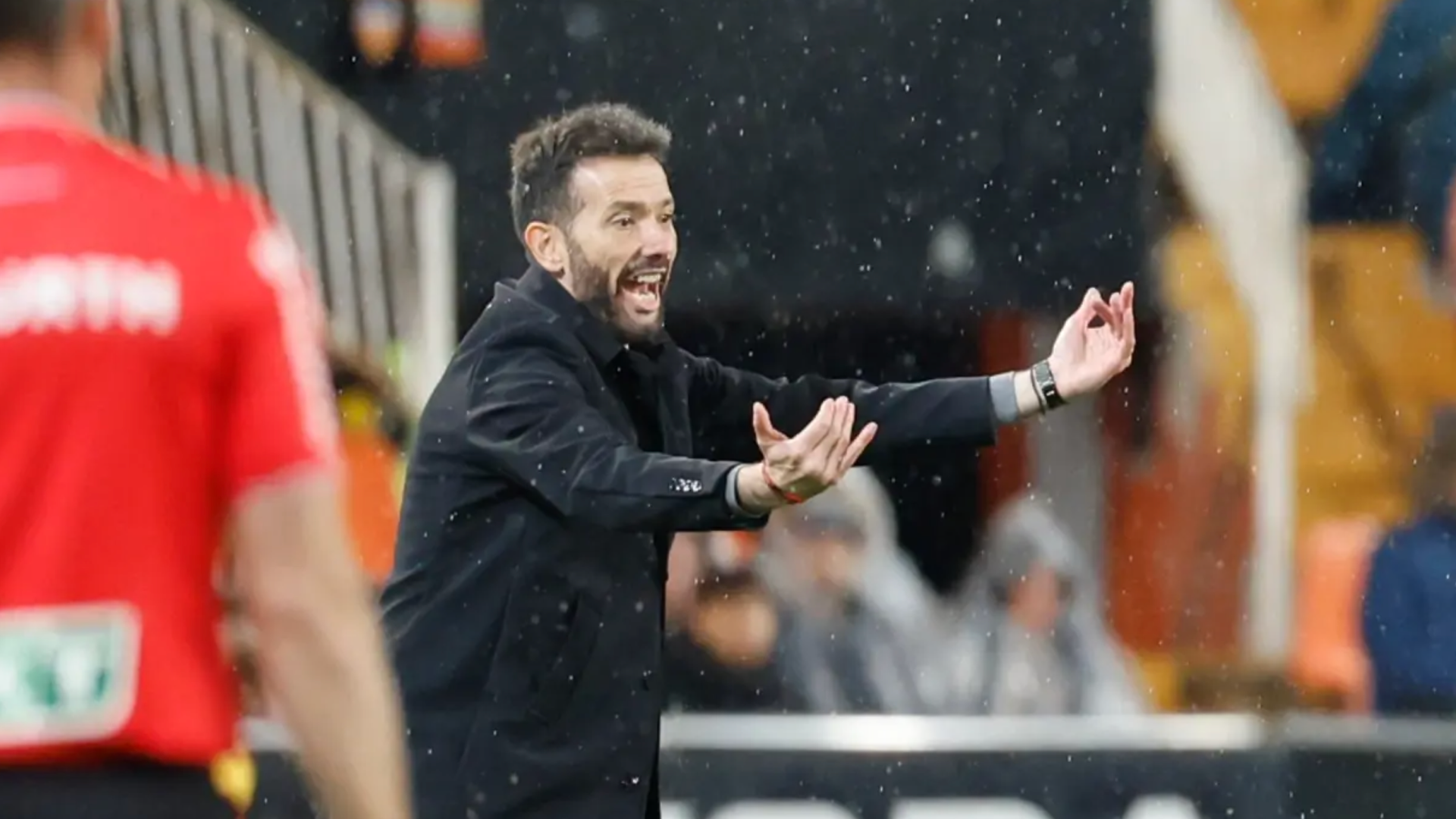 Carlos Corberán en Mestalla ante el Deportivo Alavés