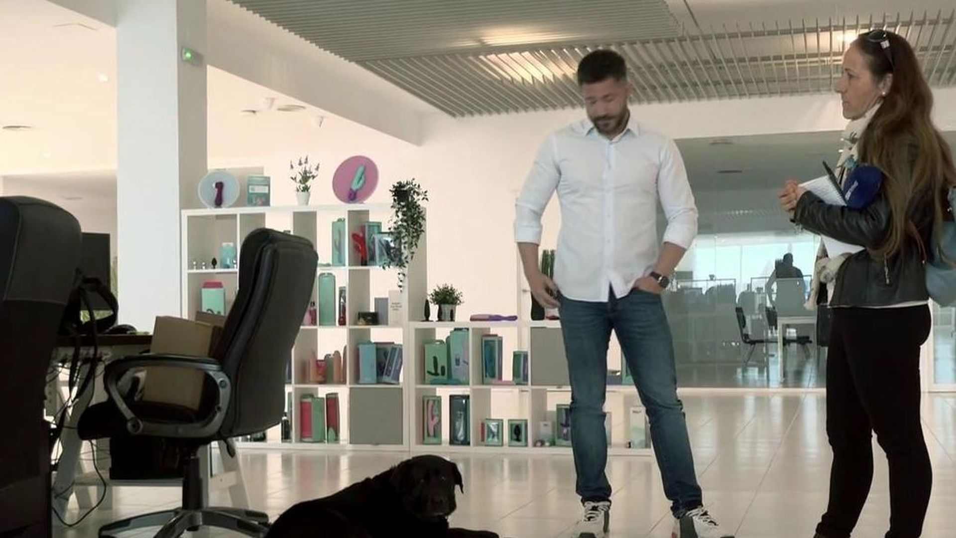 Diversual, la empresa en el que puedes a trabajar con tu perro: más productividad y menos estrés