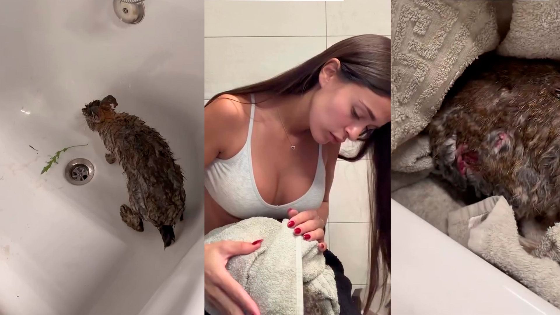 El conejito que Tania Déniz rescató