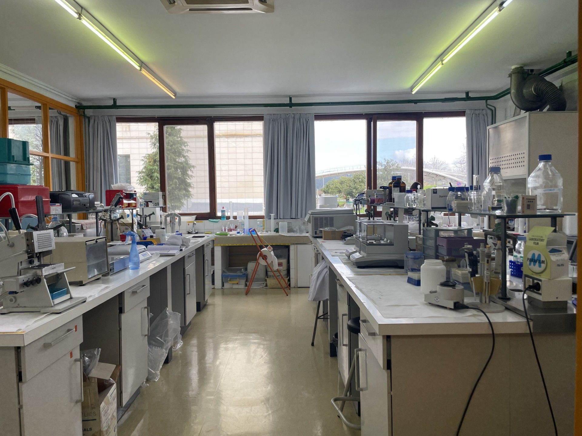 El laboratorio ubicado en la Facultad de Medicina del campus vizcaíno de la EHU