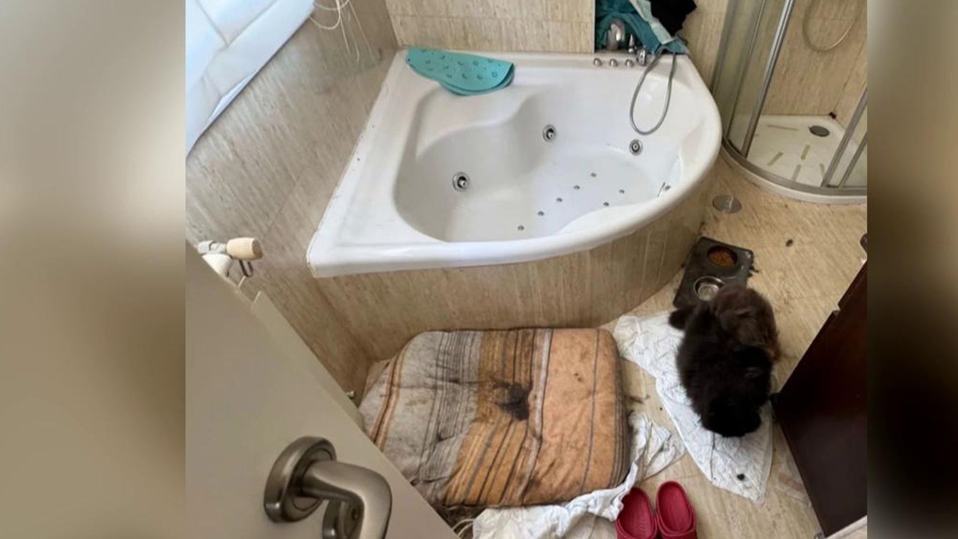 La casa estaba en un estado insalubre