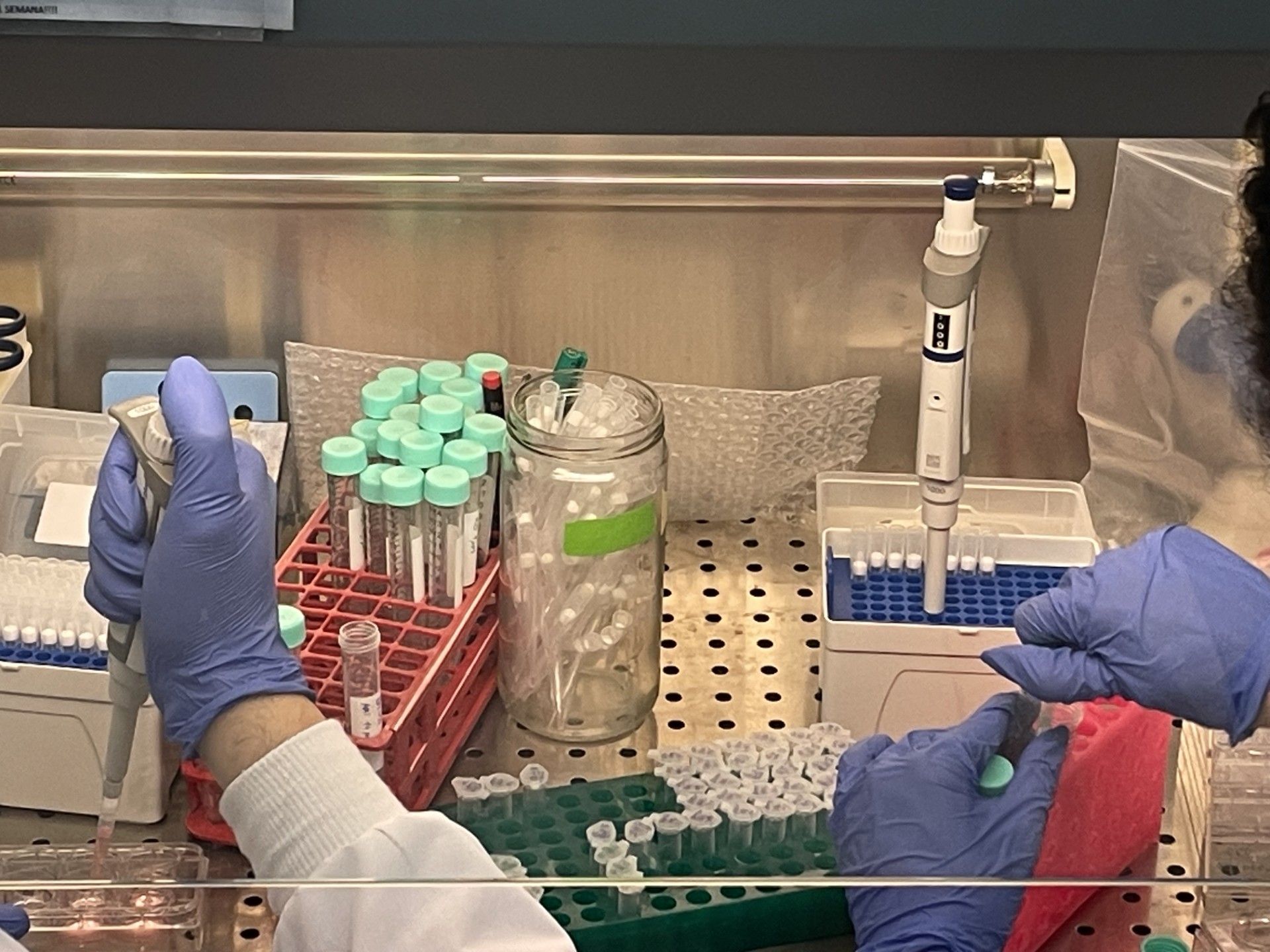 Leyre Urigüen estudia junto a otros investigadores las enfermedades mentales