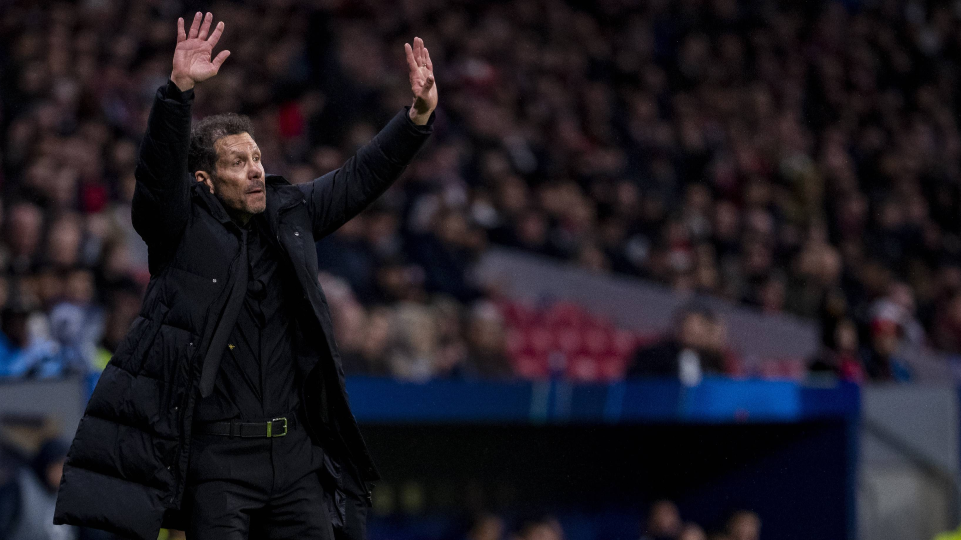 Simeone, durante el Atlético-Tottenham