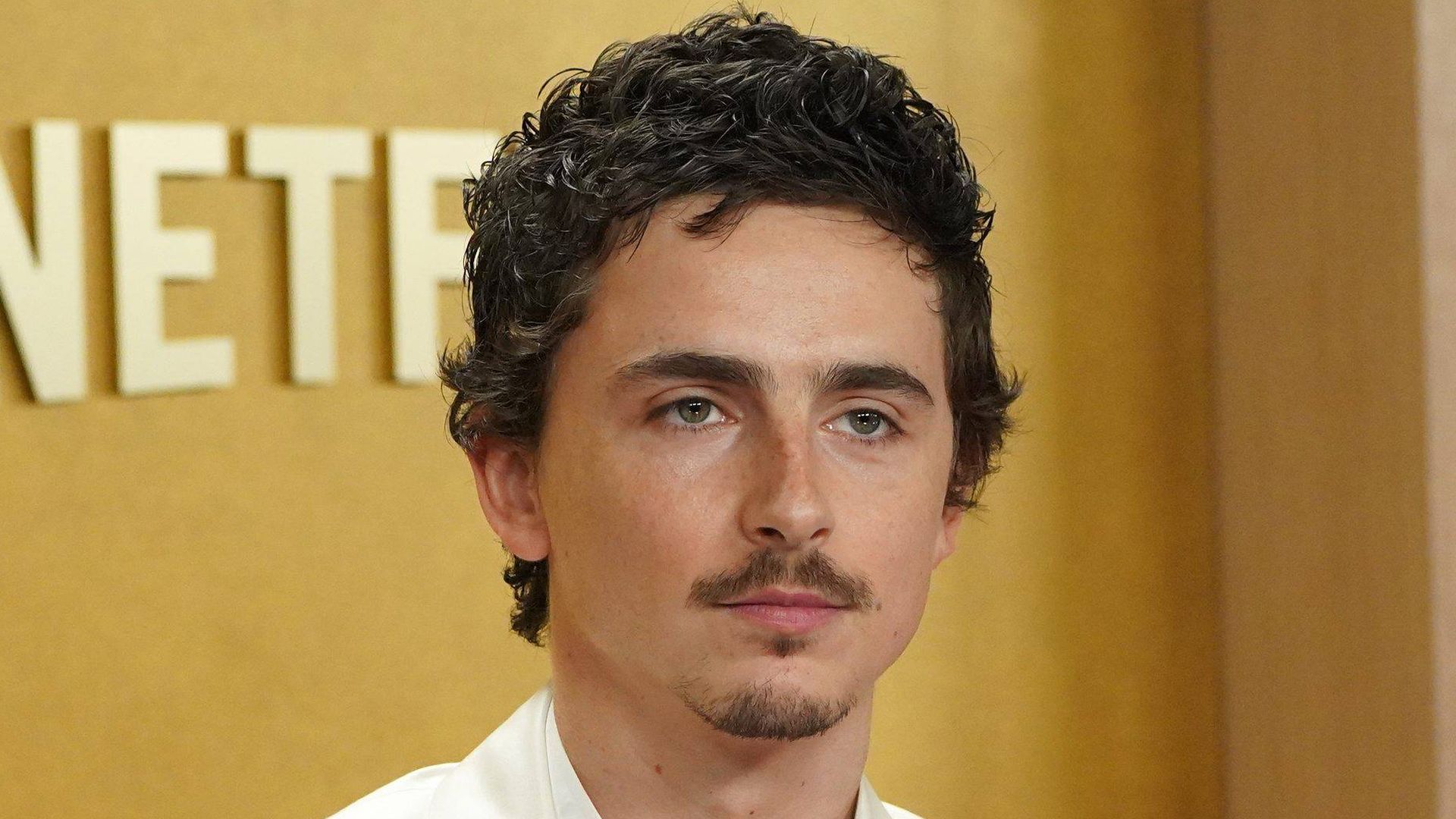 Timothée Chalamet, en la 32ª edición de los SAG Actor Awards
