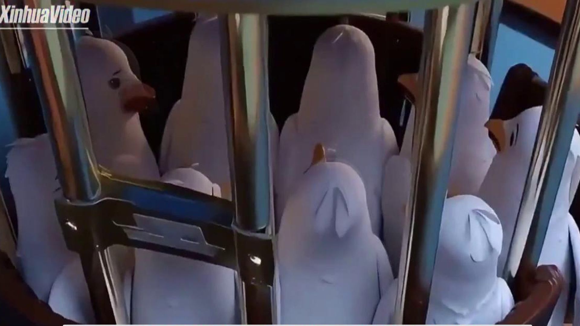 China también usa vídeos para criticar a EEUU en los que engaña y encierra a las palomas de la paz