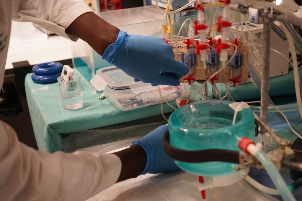 El estudio abre nuevas líneas de investigación para proteger a los más vulnerables