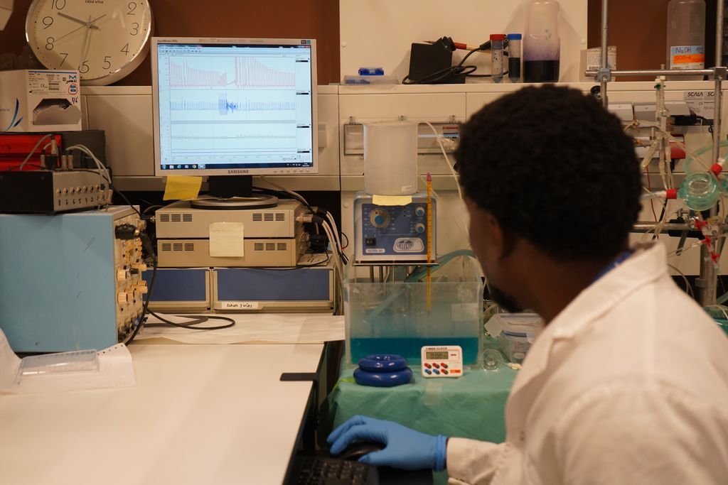 El estudio demuestra la causa directa entre partículas diésel y arritmias ventriculares