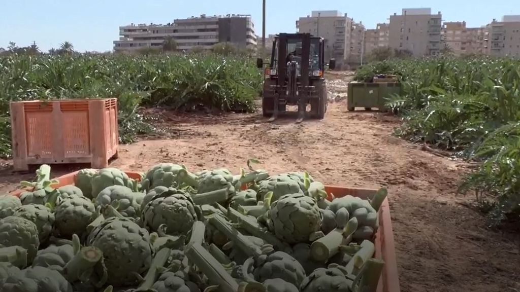 La guerra de Irán impactará también en el precio de los alimentos por culpa de los fertilizantes