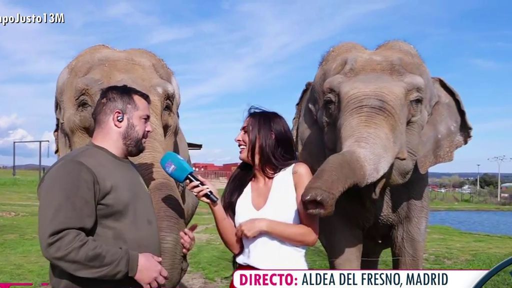 Gemma Camacho se atreve a hacer una conexión con elefantes: "Hemos cogido una pitón"