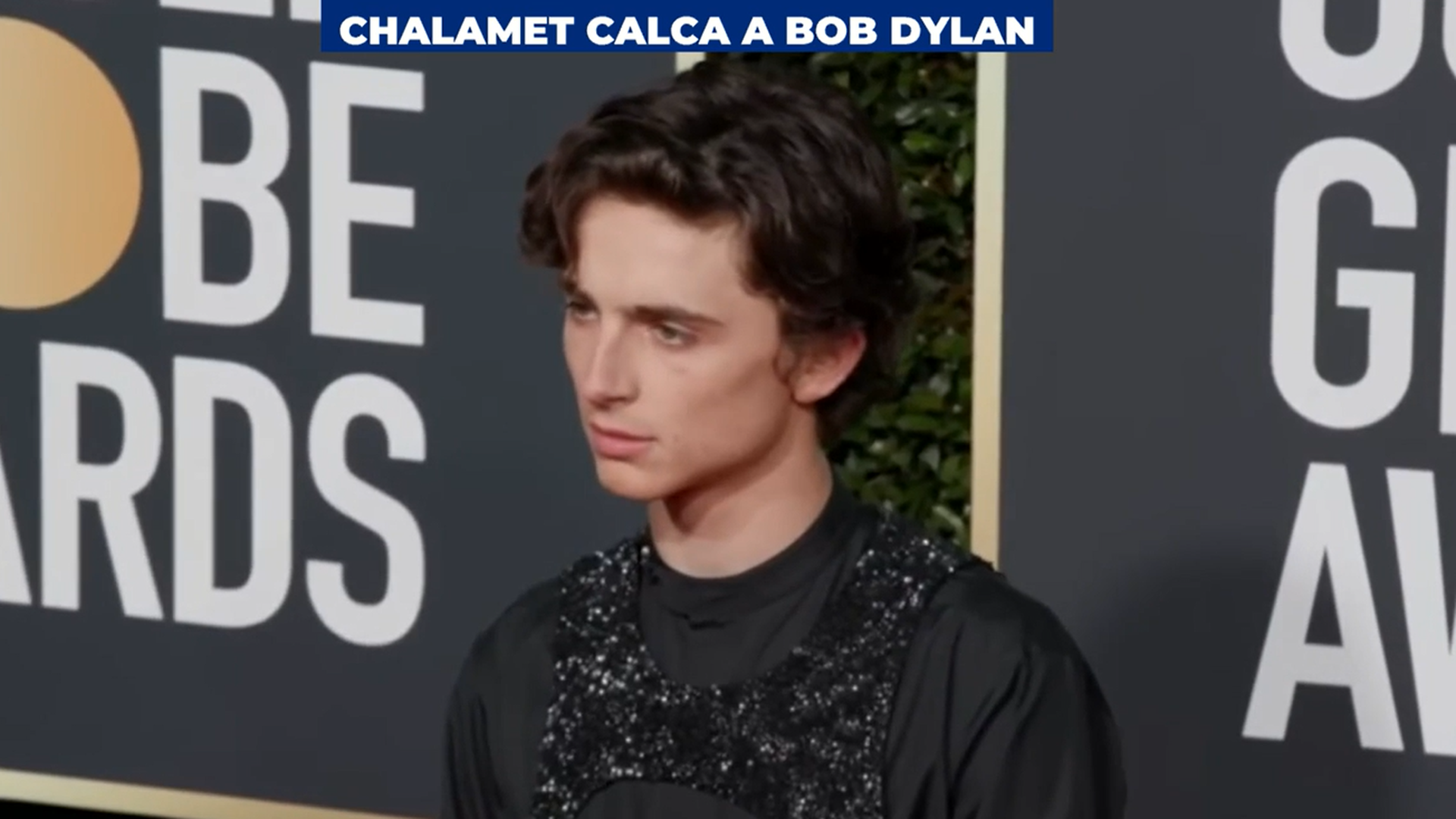 Timothée Chalamet Timothée Chalamet