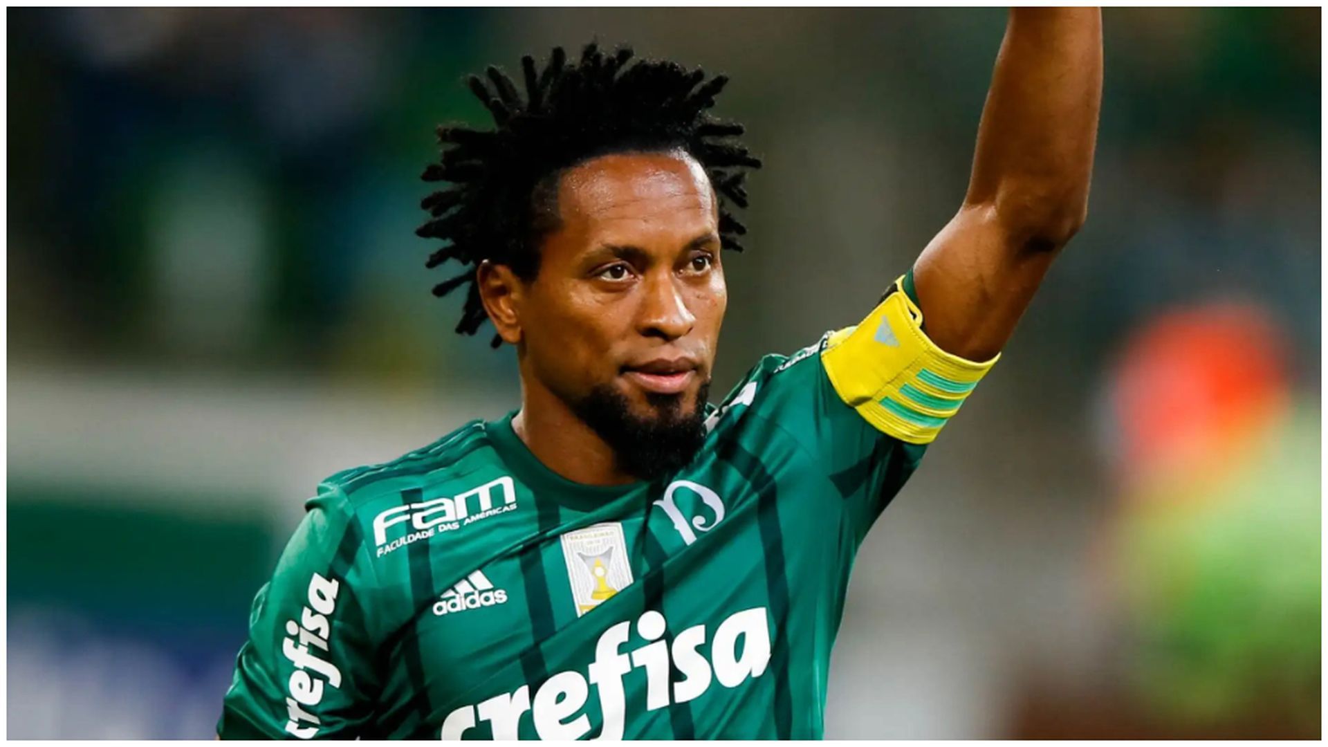 Zé Roberto, en el Palmeiras