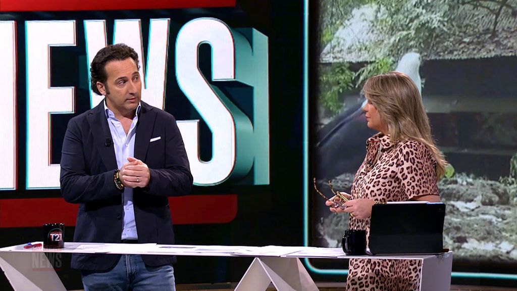 Las imágenes que ponen en alerta al mundo sobre una posible pandemia por el virus de Malburgo Cuarto Milenio Temporada 21 Top Vídeos 795