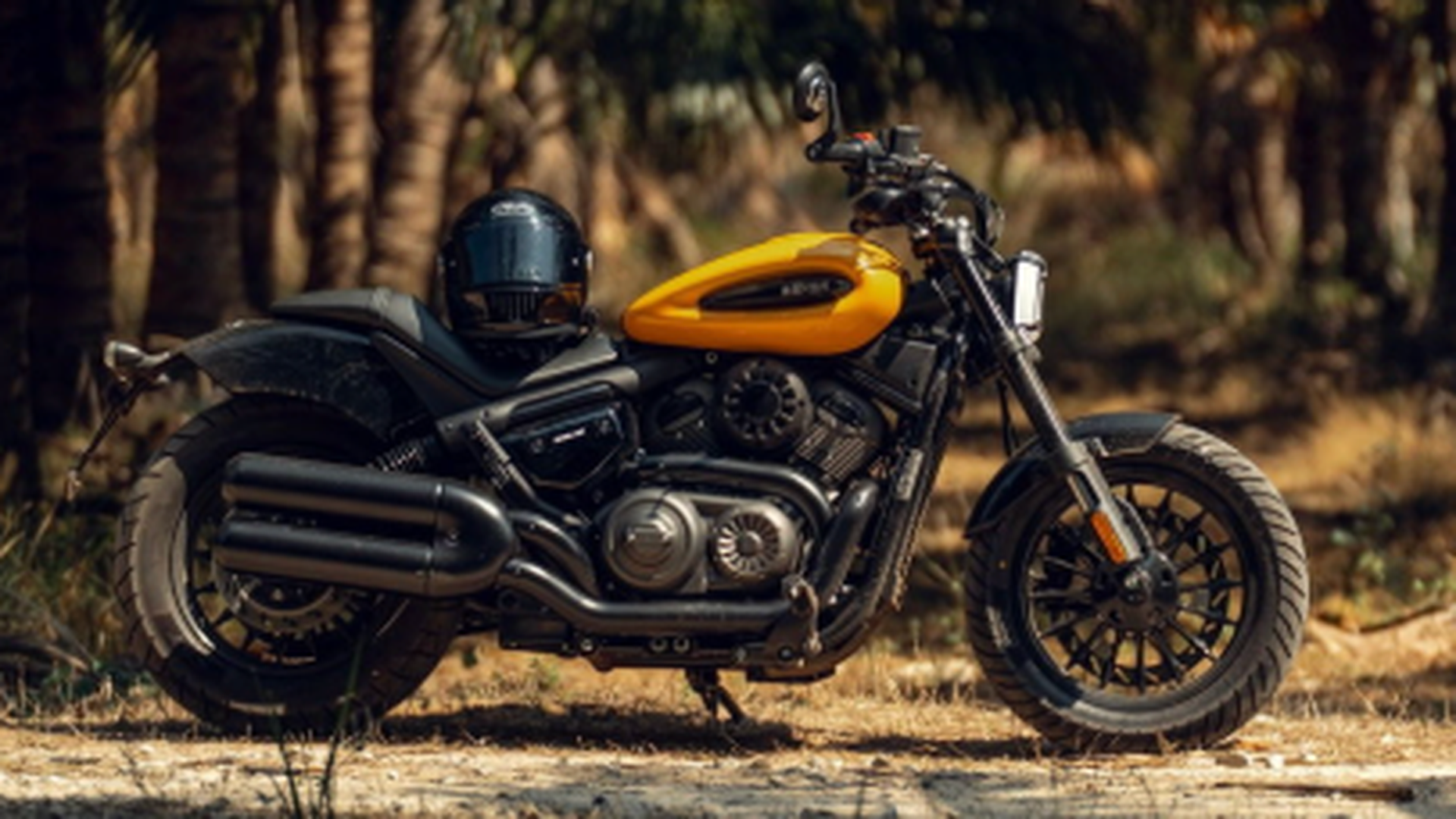 Benda Chinchilla 350 Neo