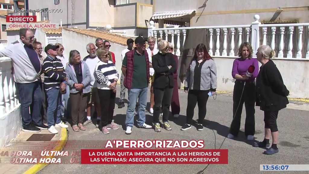 Guerra de vecinos por unos perros agresivos en Orihuela (Alicante): “Le mordió los testículos para defenderme”