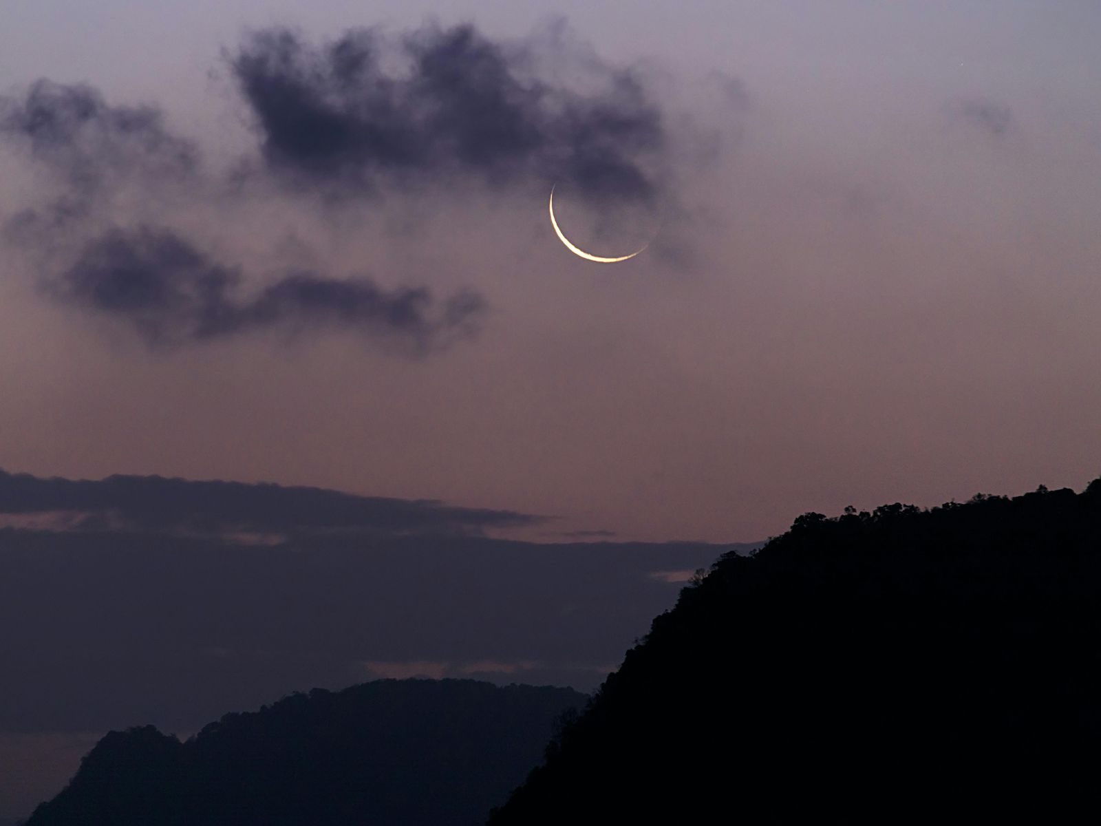 Las lunas nuevas funcionan como semillas: lo importante es lo que decidimos plantar