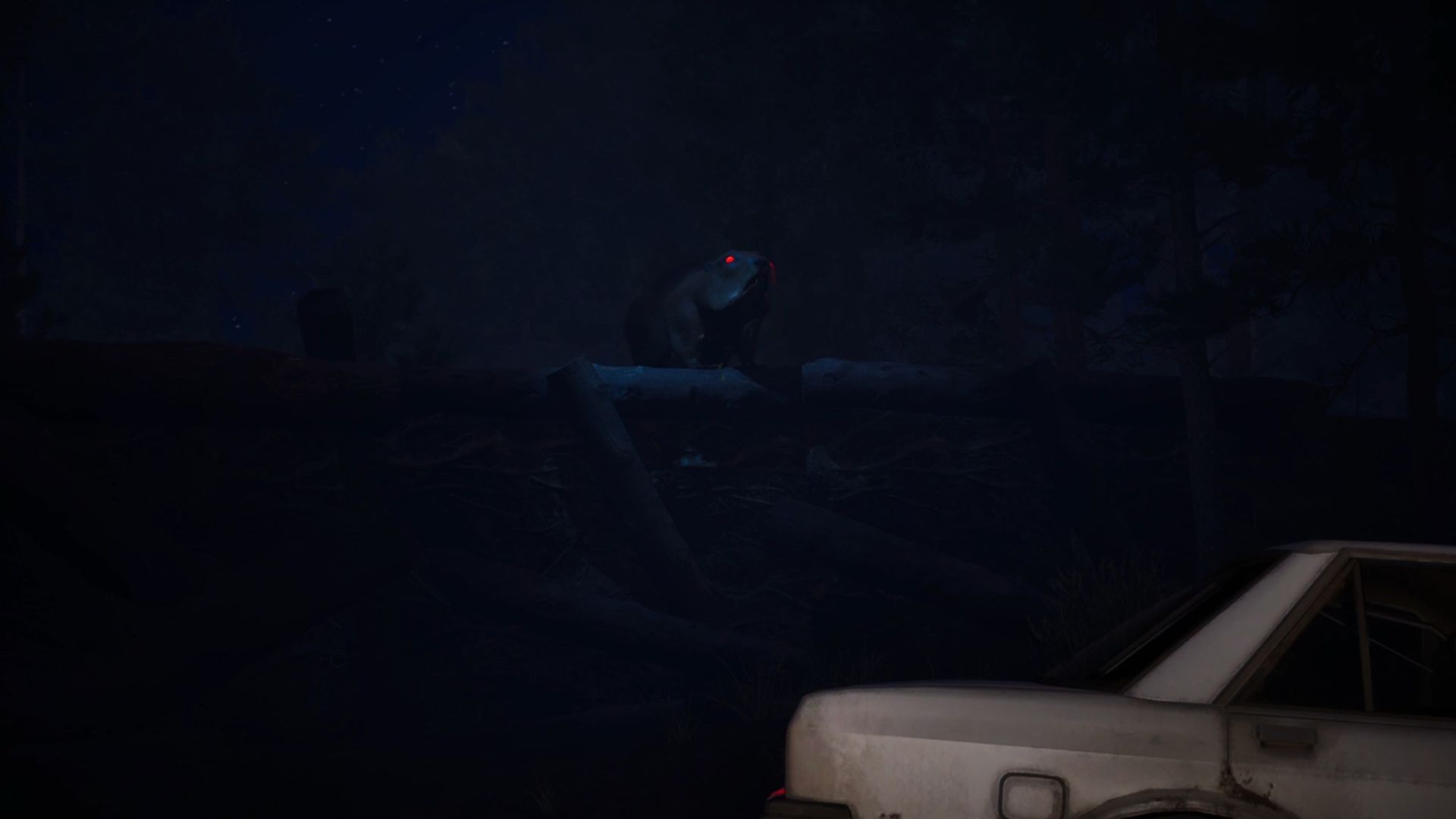 Don’t Mess With Bober