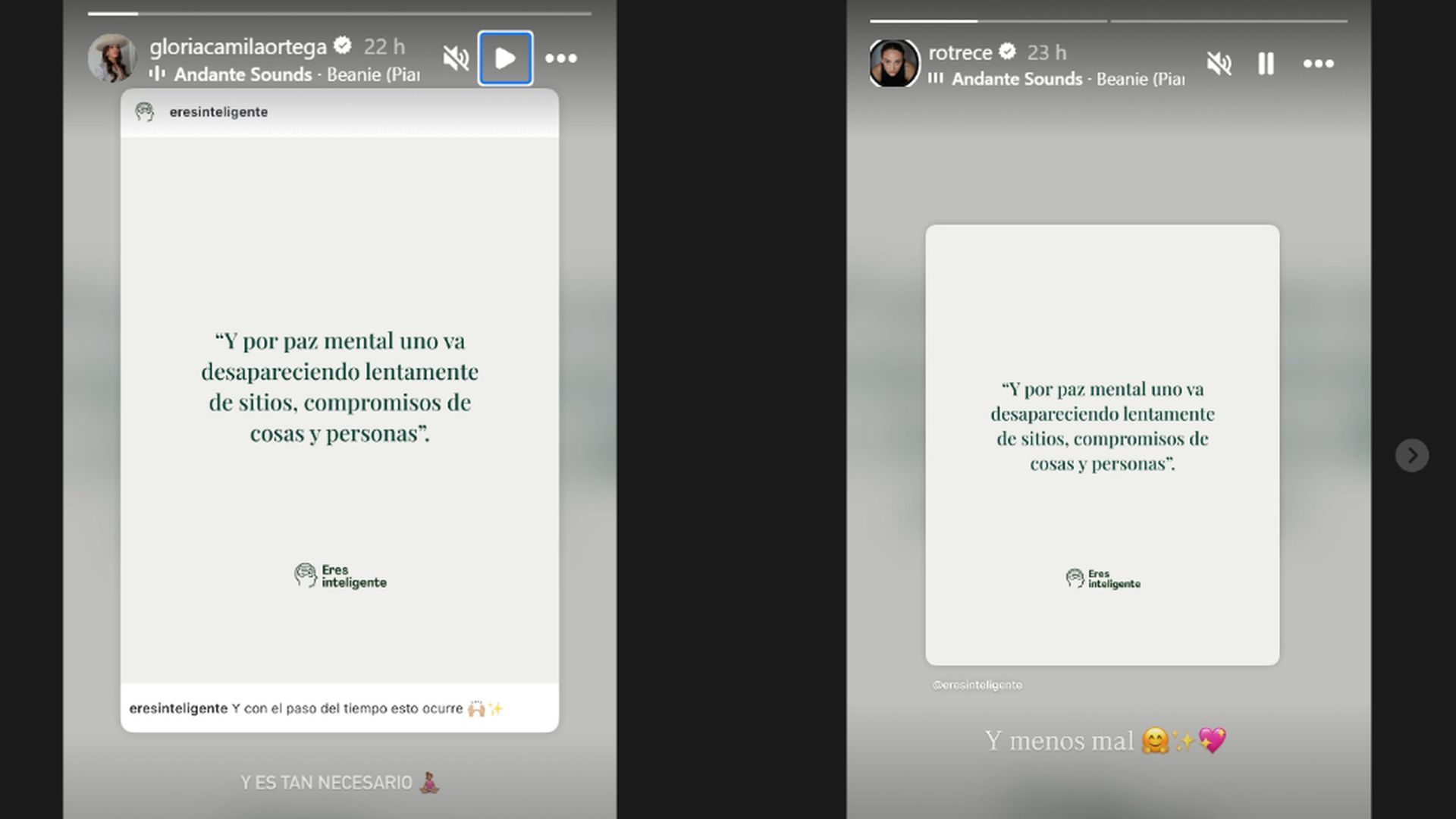 Gloria Camila Ortega y Rocío Flores comparten la misma historia en Instagram