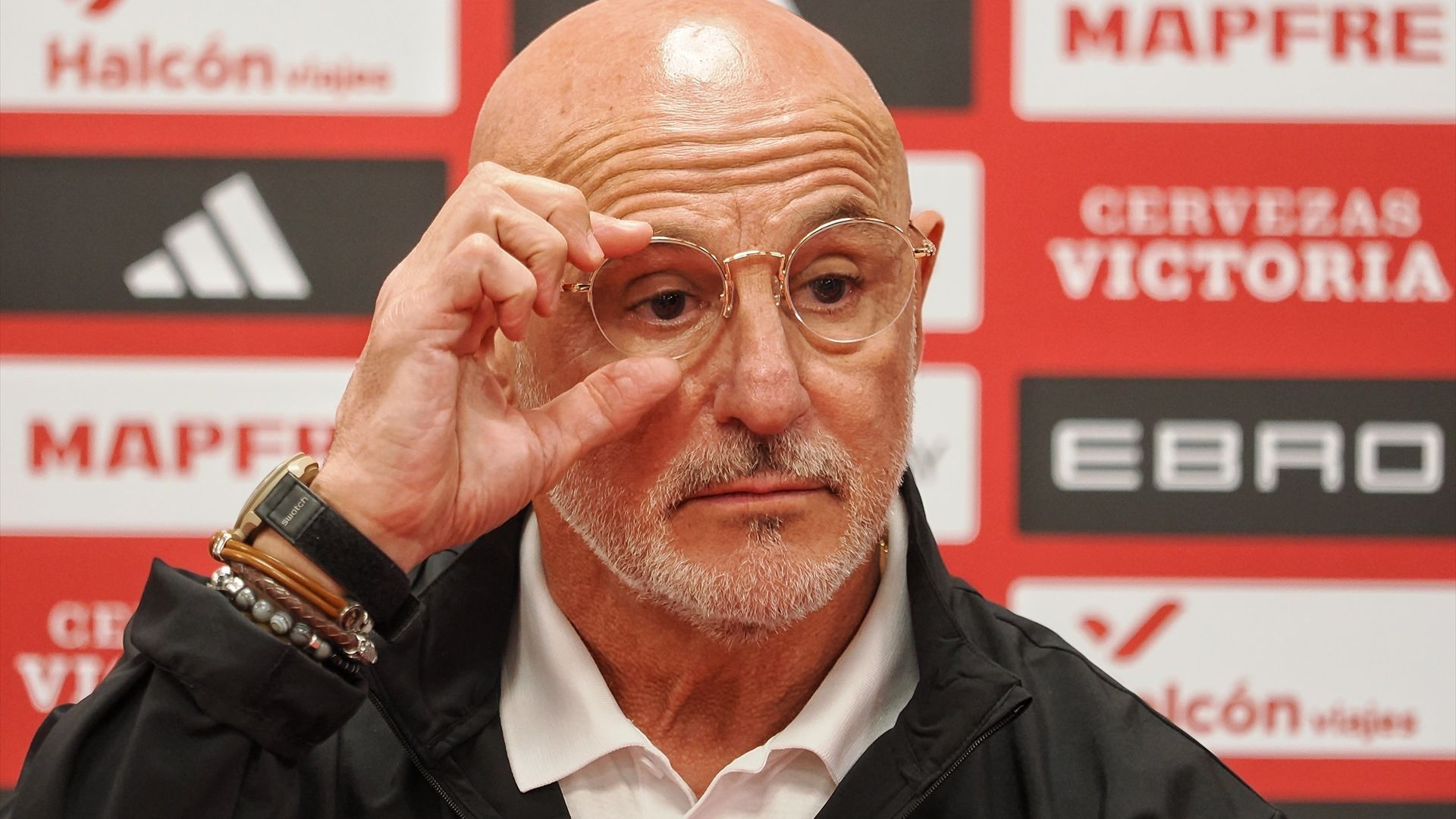 Luis de la Fuente en una rueda de prensa