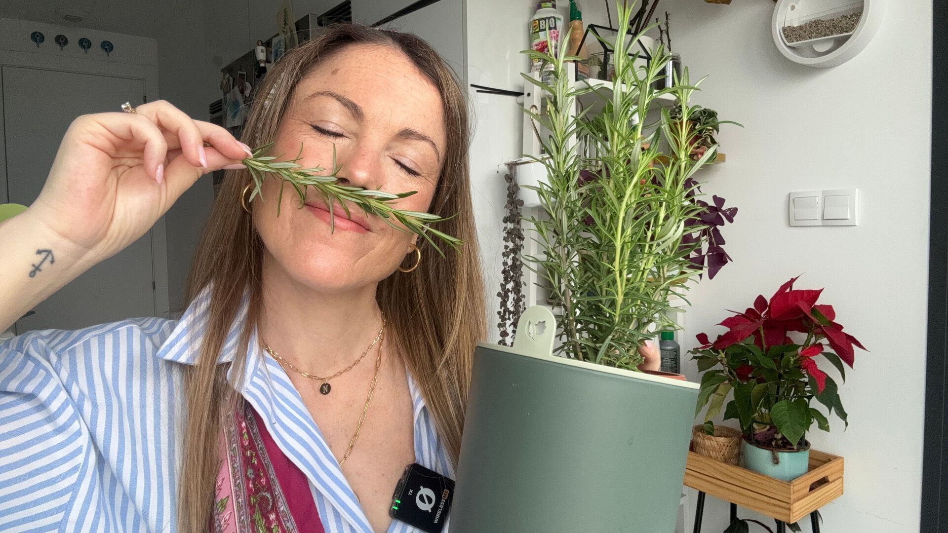 Tres trucos para que el romero de tu cocina siga sano