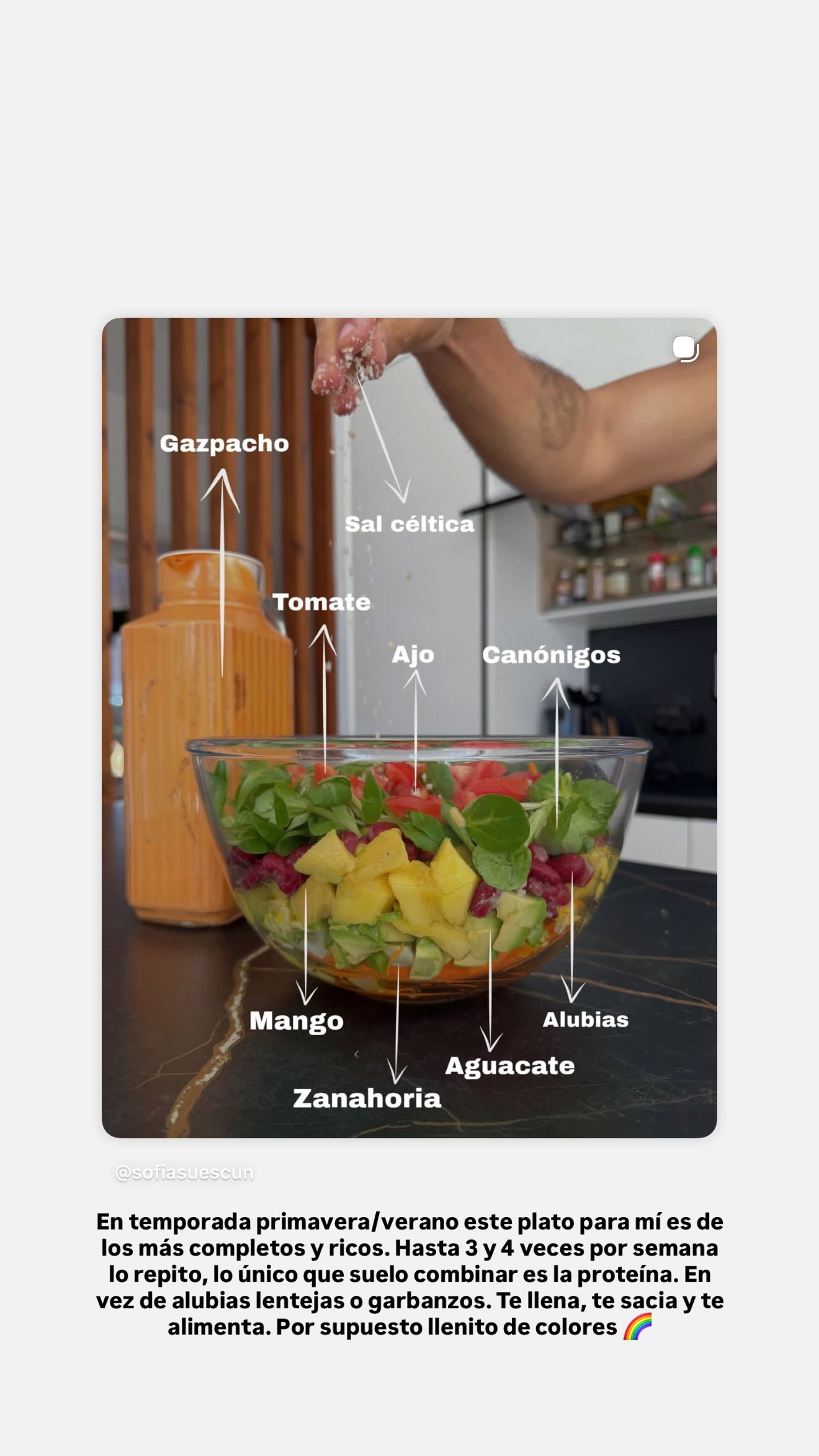 Una de las recetas de Sofía Suescun