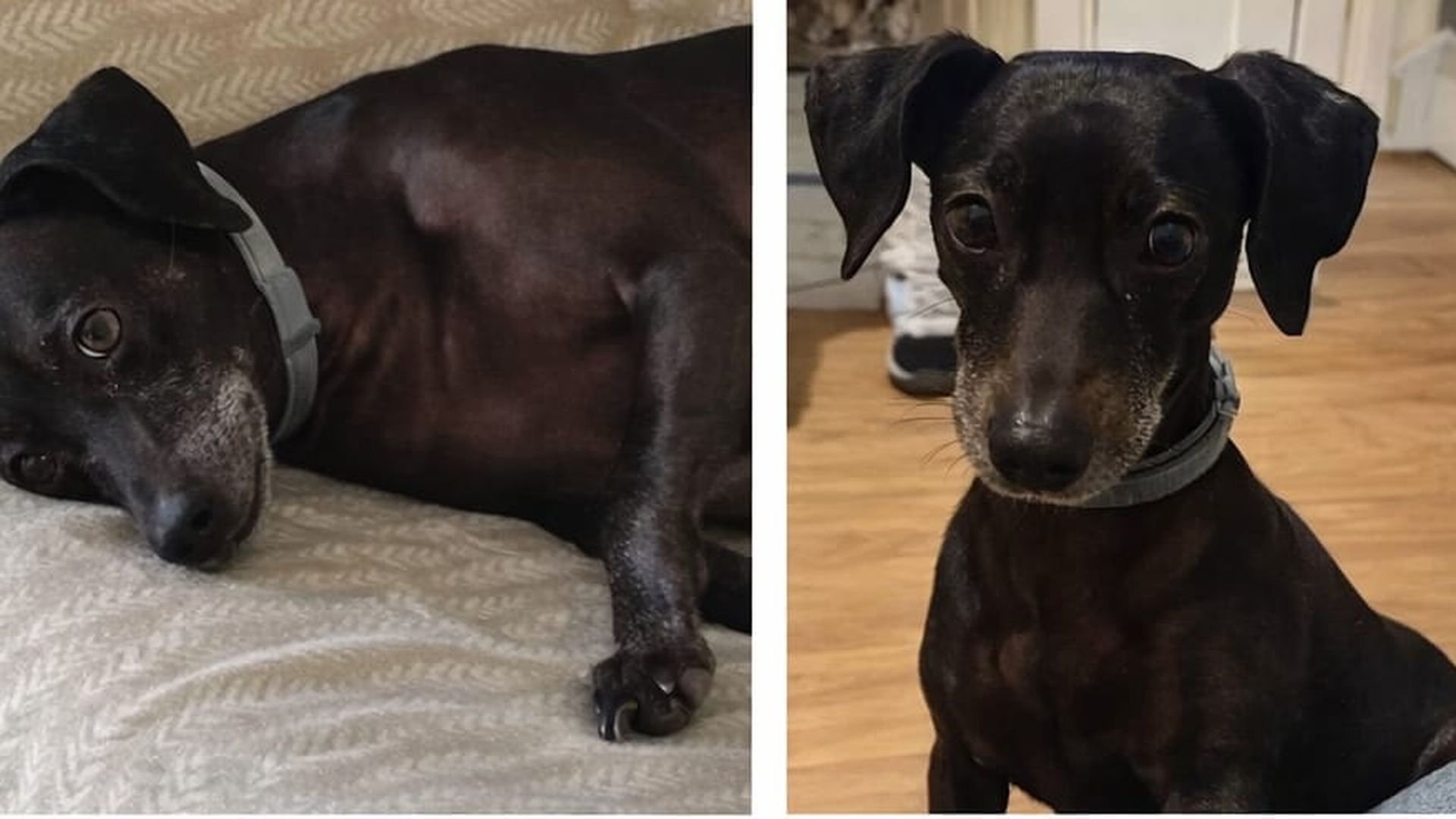 WhatsApp Image 2026-03-19 at 13.34.14 WhatsApp Image 2026-03-19 at 13.34.14