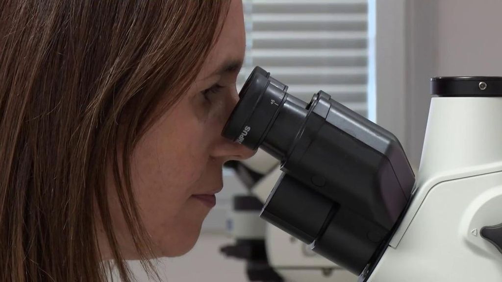 Cómo frenar la meningitis a tiempo y las claves para evitar un brote en España: "Recomendamos la vacuna a los adolescentes"