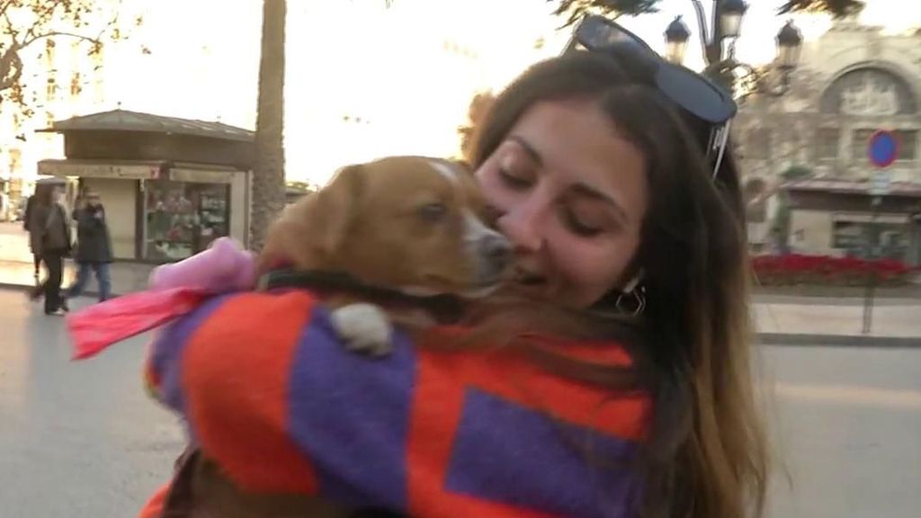 El dinero sí da la felicidad