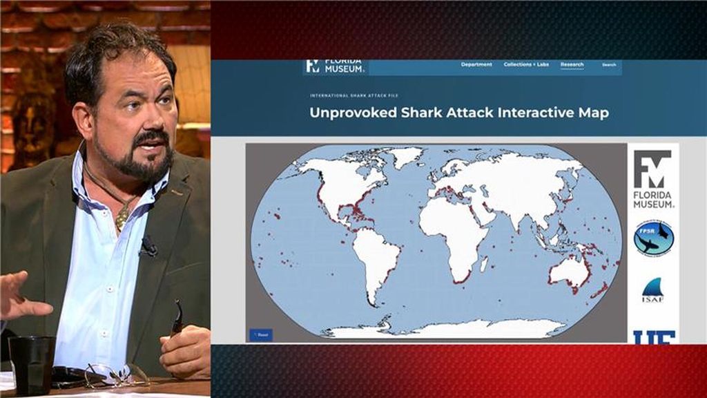 El de Xàbia no es el único: otros tiburones que hicieron su aparición y causaron auténticas masacres Cuarto Milenio Temporada 21 Top Vídeos 805