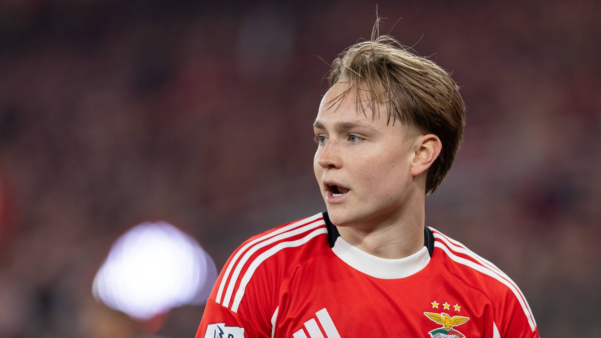 Andreas Schjelderup, jugador del Benfica