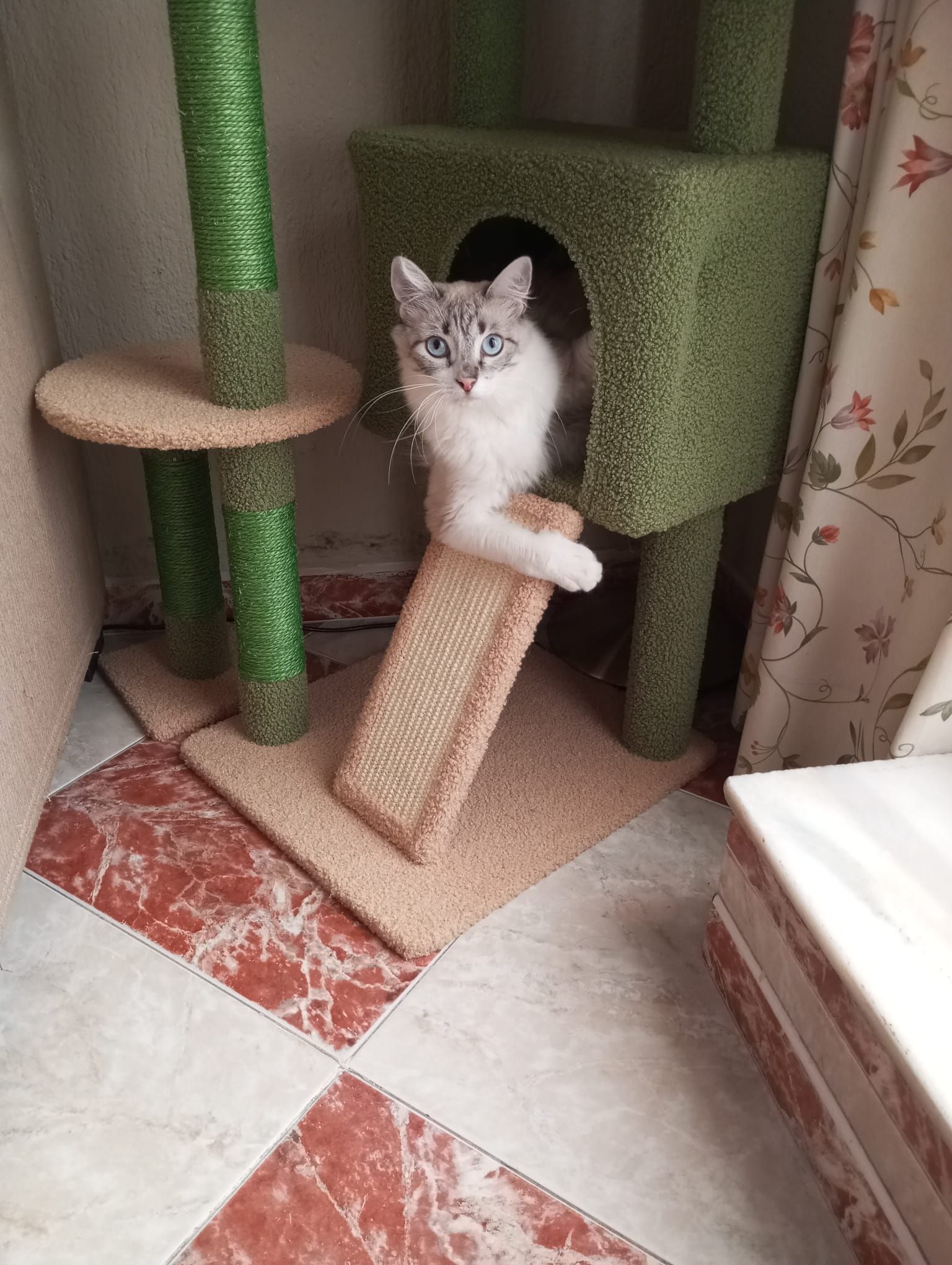 Chica no habia salido nunca de casa