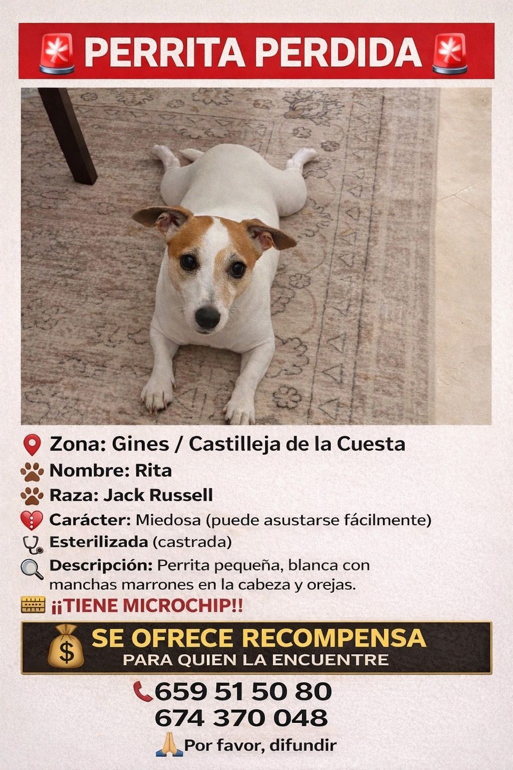 Cartel de la búsqueda de Rita