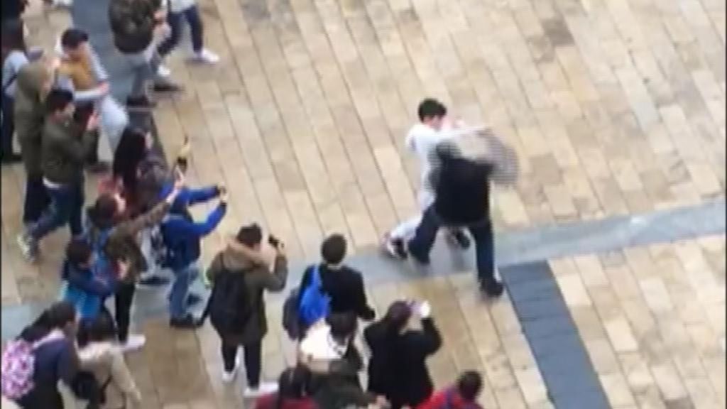 "¡Dale, dale!", mientras graban la pelea