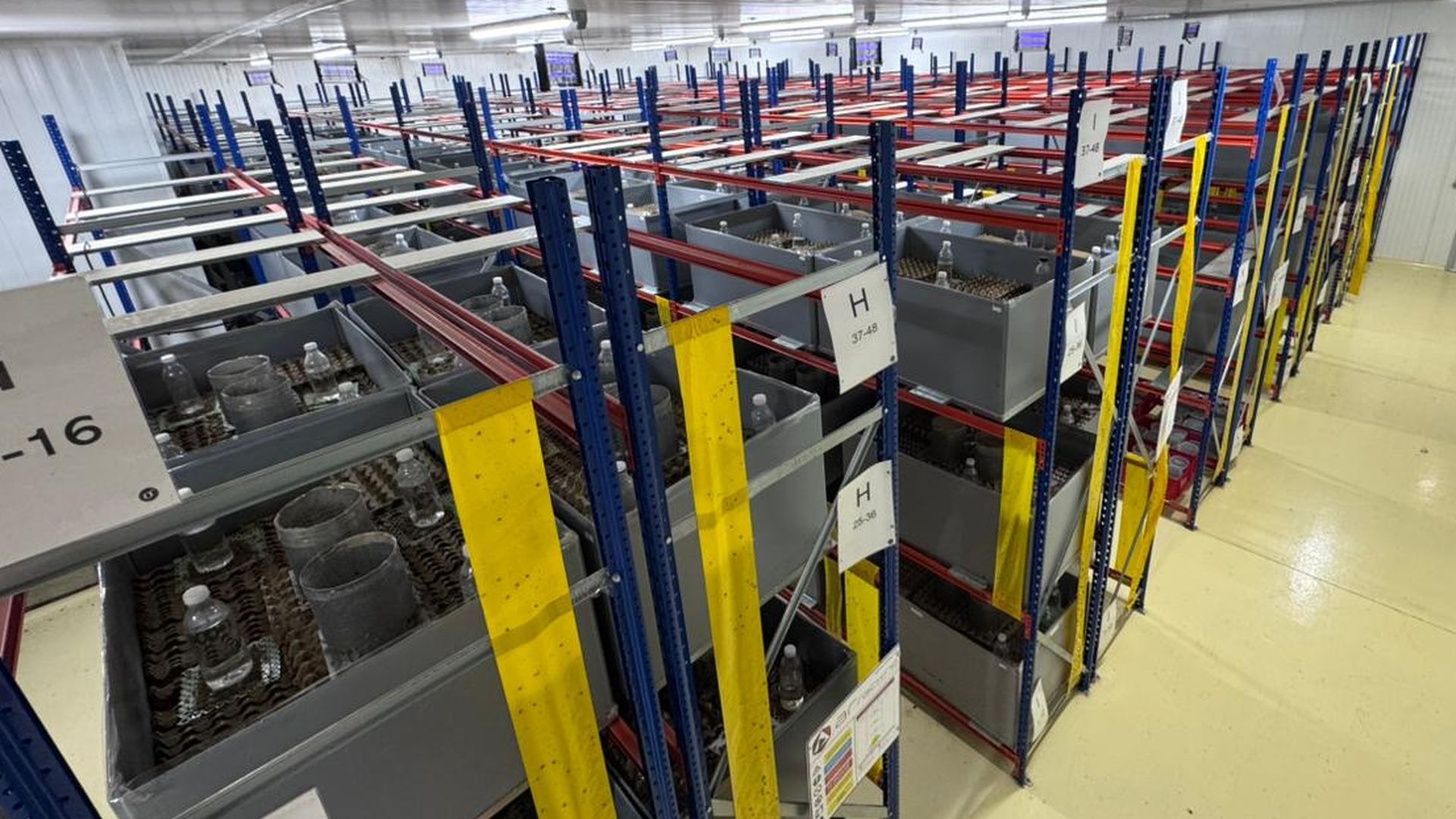 El polvo de grillo se puede usar para hacer miel, galletas o barritas energéticas