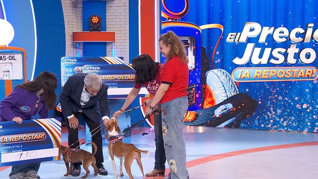 El mensaje de Carlos Sobera tras conocer a dos perros que buscan adopción en 'El precio justo': ''¿Cómo es posible que tengamos este país?''