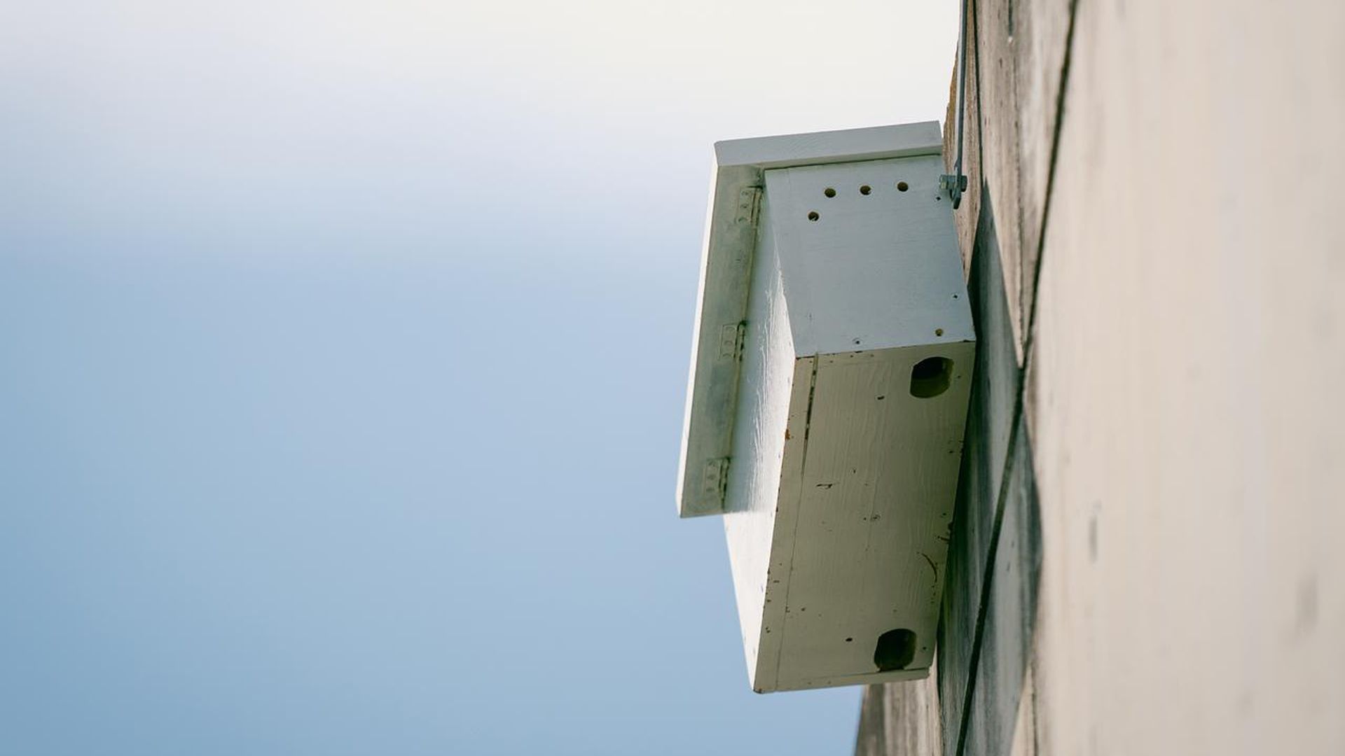 El Real Betis cumple con los vencejos