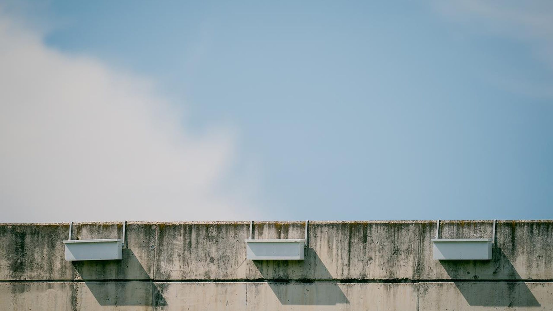 El Real Betis cumple con los vencejos