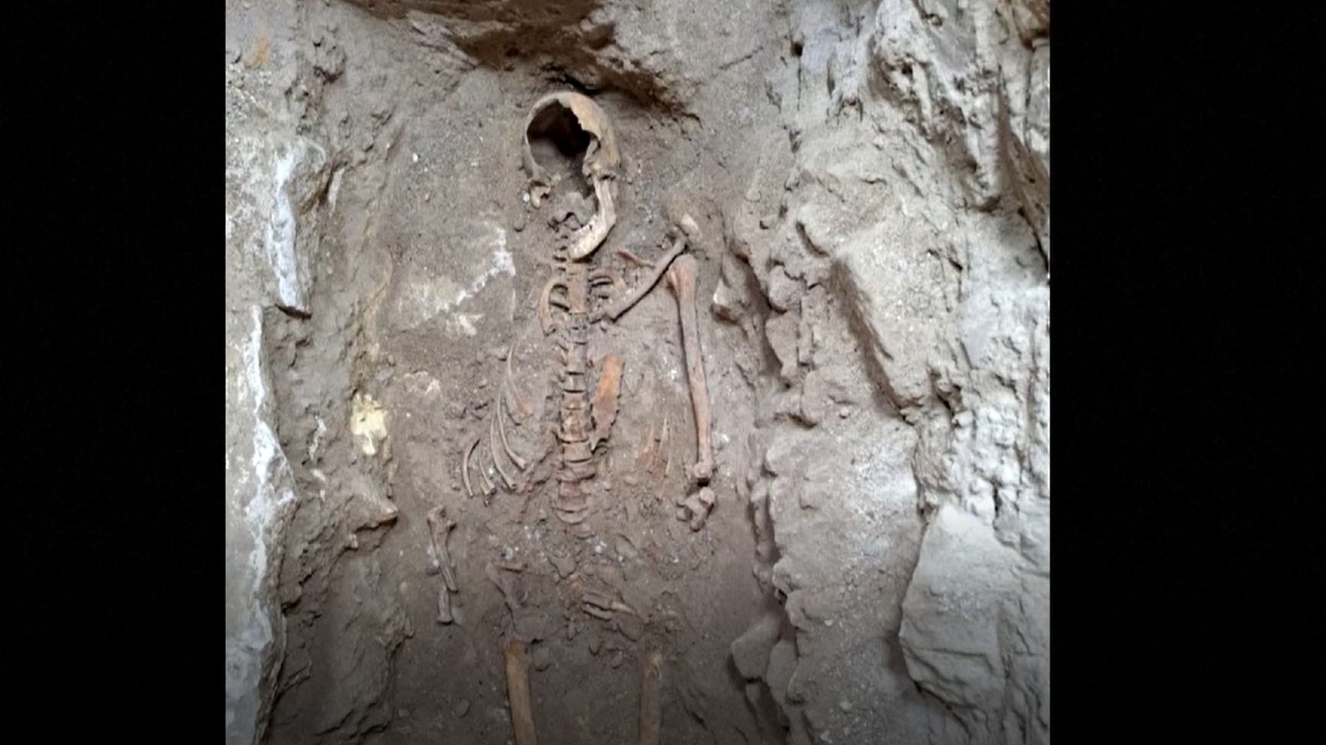 Esqueleto de D'Artagnan